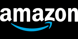 Amazon Delivery franchise logo
