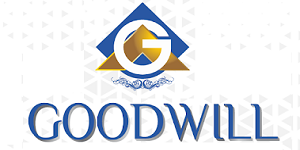 Goodwill Wealth Franchise Logo