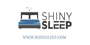 Shinysleep Franchise Logo