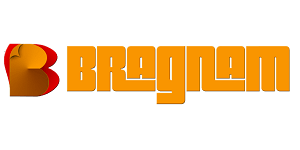 Bragnam Franchise Logo