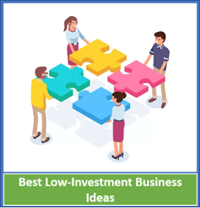 Best Low Investment Business Ideas