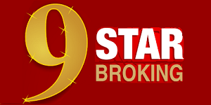 Nine Star Broking Franchise Logo