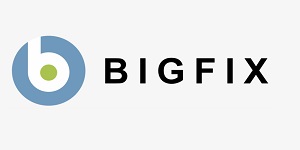Big Fix Franchise Logo