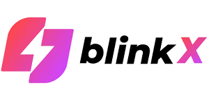 blinkX Franchise Logo